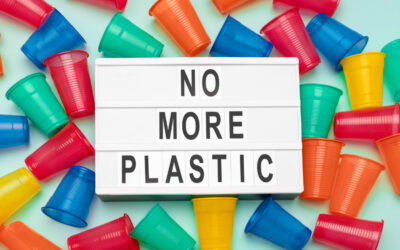 Czy możemy żyć bez plastiku? Bilans korzyści i zagrożeń